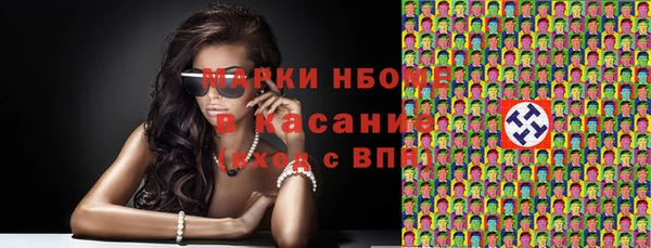 гашик Пересвет