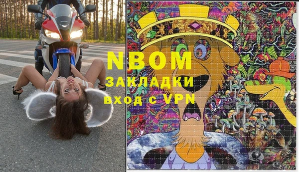 индика Инсар