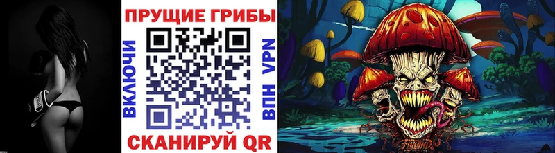 Псилоцибиновые грибы Psilocybine cubensis  сколько стоит  кракен ТОР  Алексеевка 