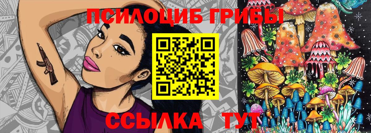Галлюциногенные грибы Psilocybe Алексеевка
