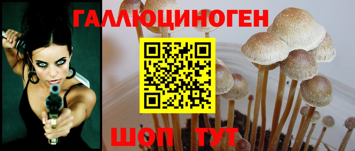 Псилоцибиновые грибы Magic Shrooms Алексеевка